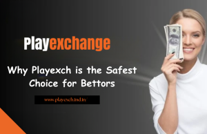 Why Playexch is the Safest Choice for Bettors